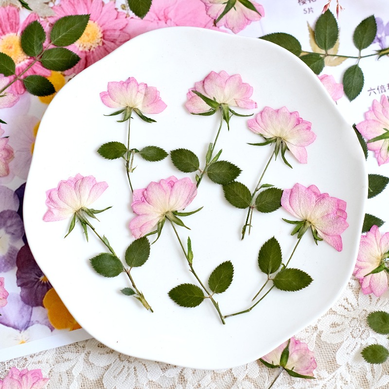 12pcs,Real Dried Pressed Flowe - Resin Art Baby recension och pris